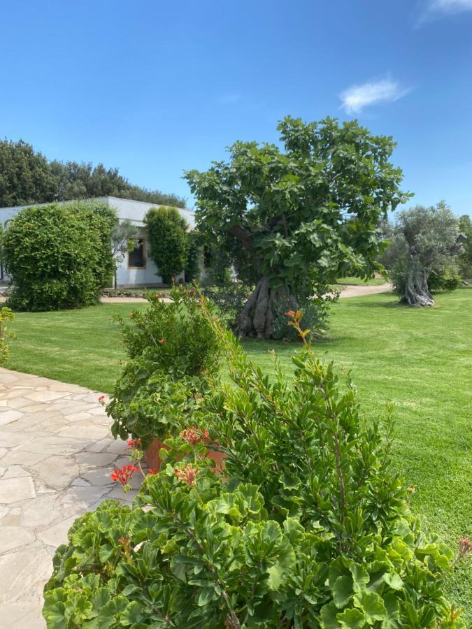 Casa Anna, Agriturismo Alla Castellana 갈리폴리 외부 사진